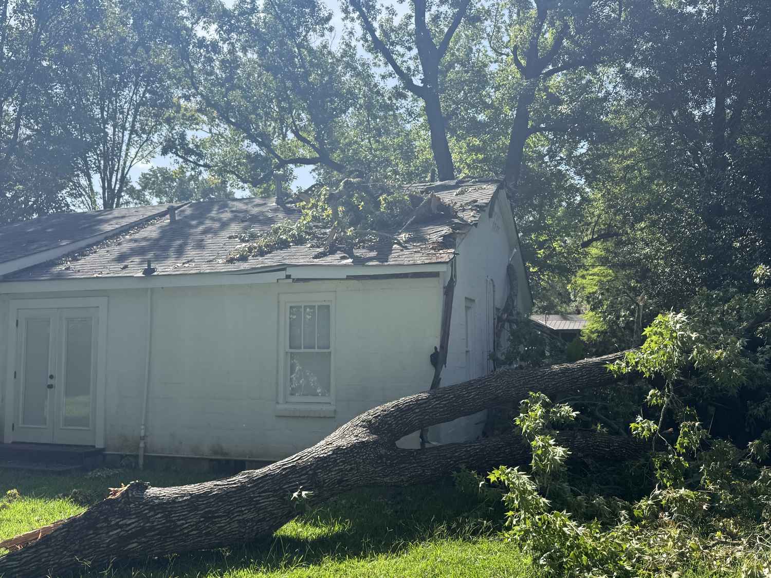Storm damage with a fallen tree on a roof in Louisiana